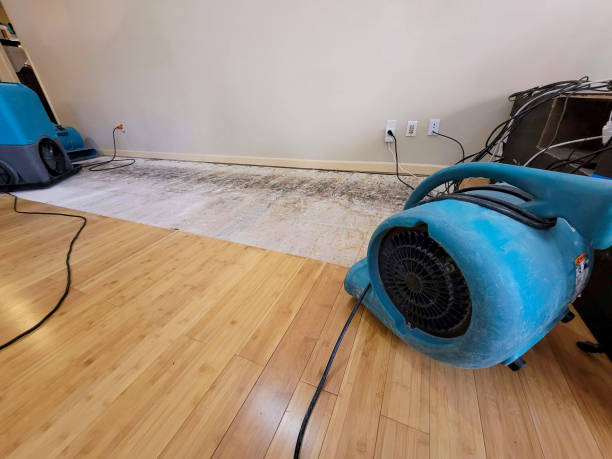 Reliable Basement Flood Cleanup contractor in De Soto, KS by Hirex Water Damage