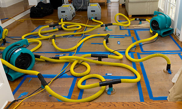 Professional Basement Flood Cleanup technician working in De Soto, KS
