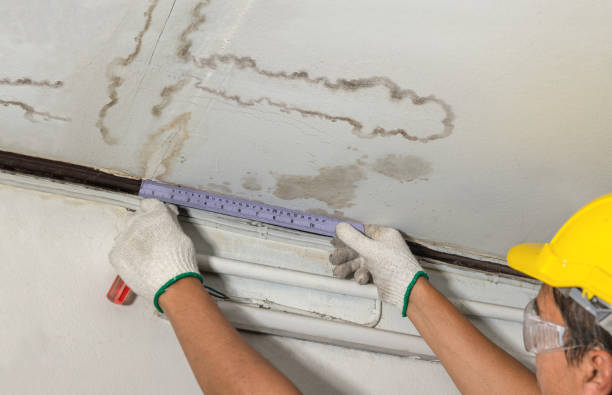 Affordable Water Damage Repair solutions in De Soto, KS